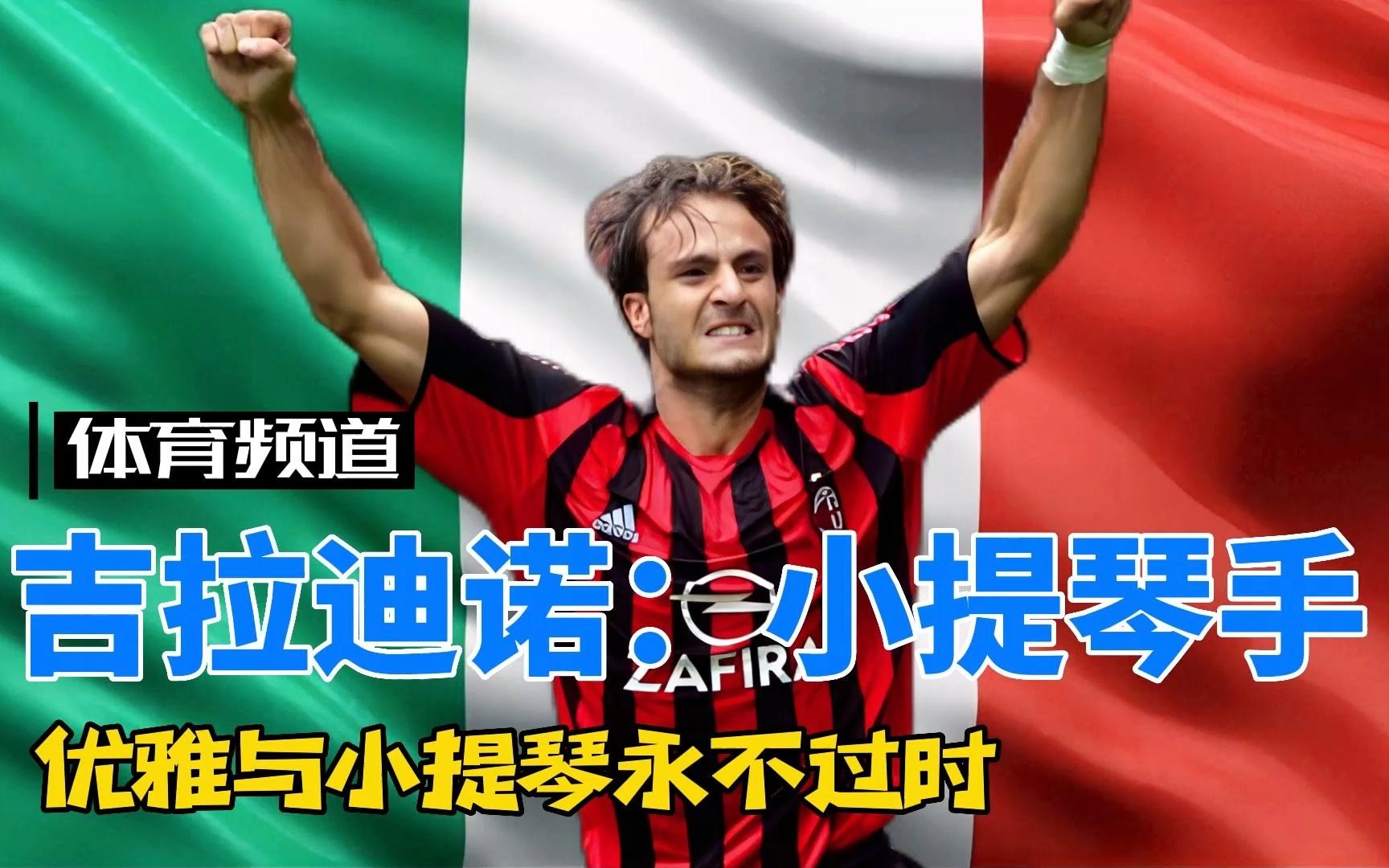 共同特点是 共同特点是