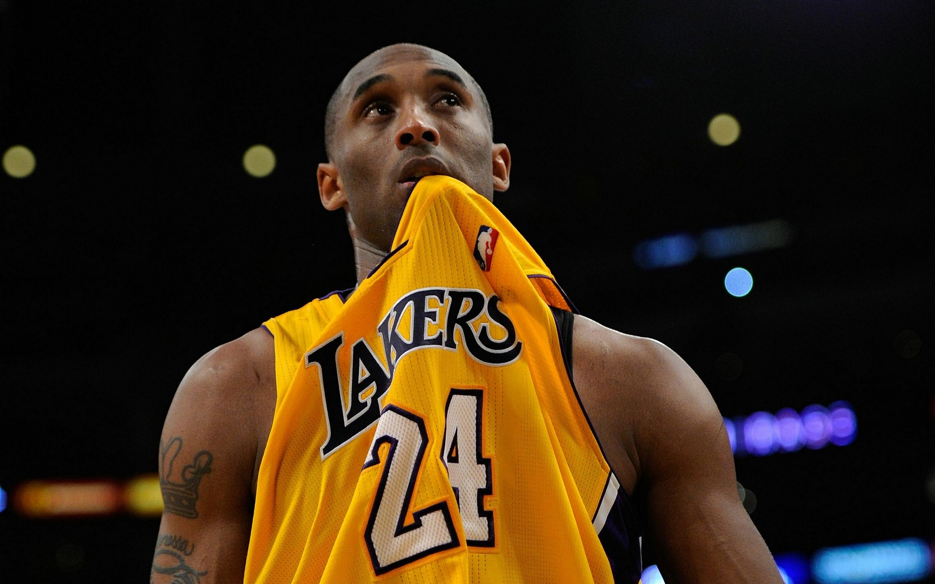 发展的新趋 发展的新趋