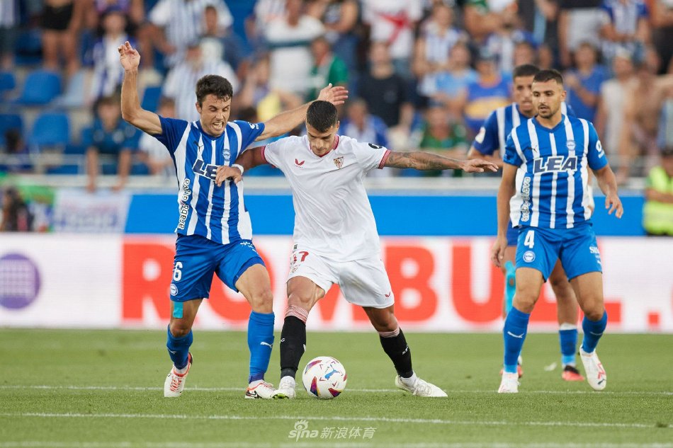 如今的科利 如今的科利